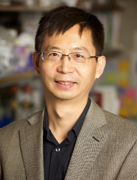 Kun Zhang
